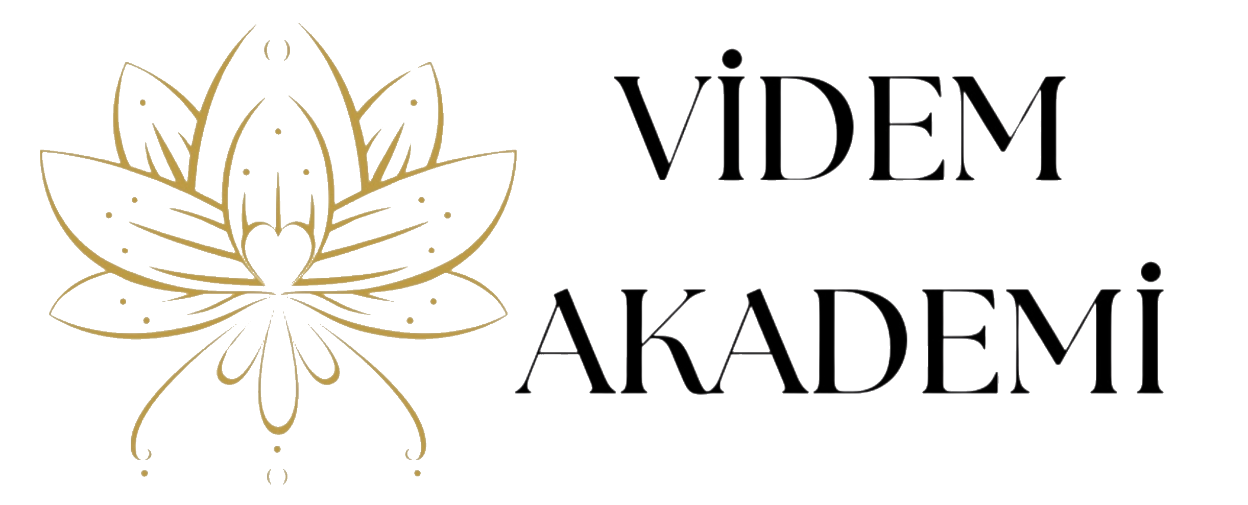 Videm Akademi